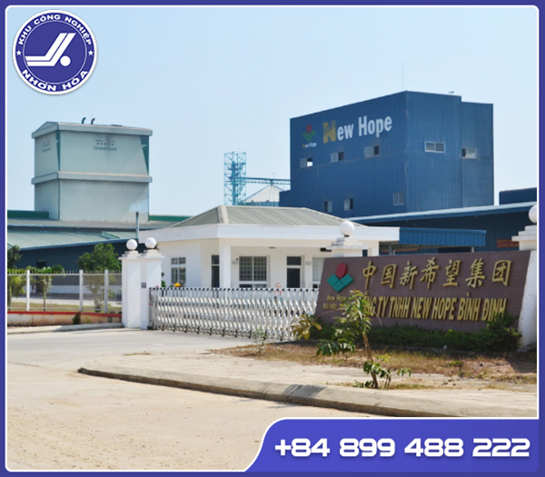 New Hope Binh Dinh Company Limited